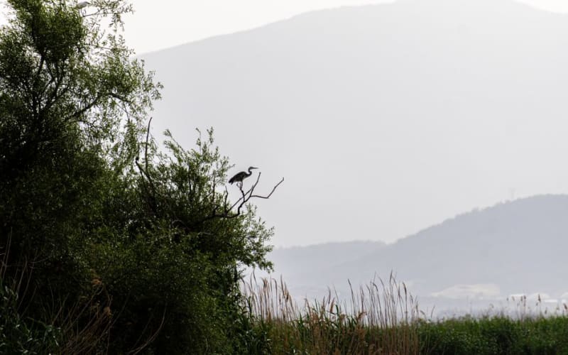 Hula Valley