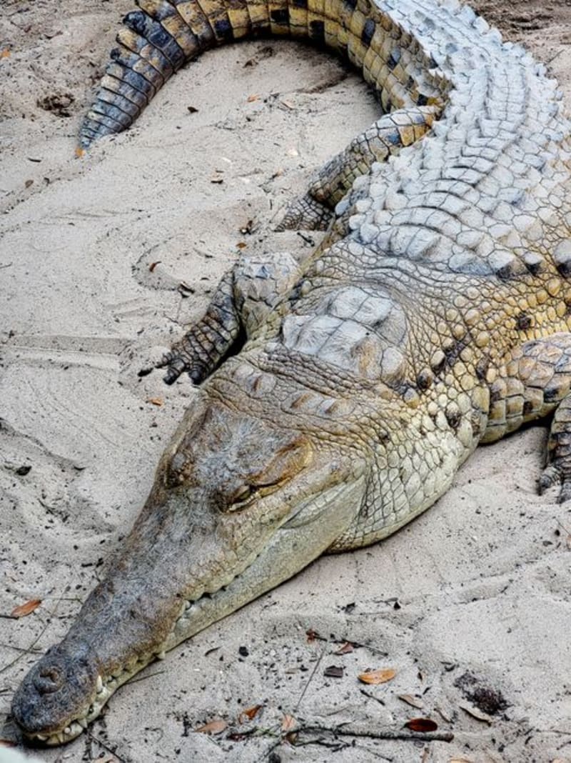 Paga Crocodile Ponds