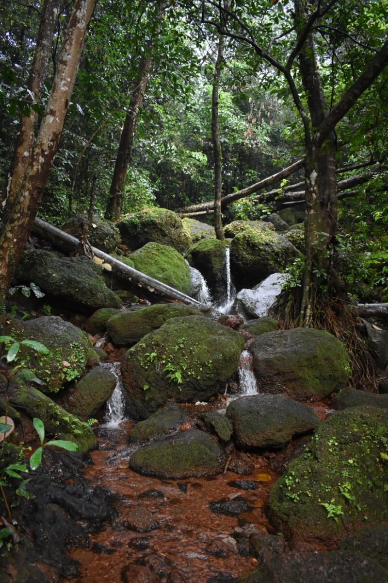Chutes de Dudhsagar