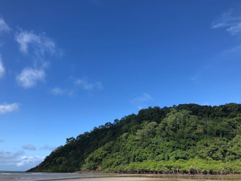 Cape Tribulation