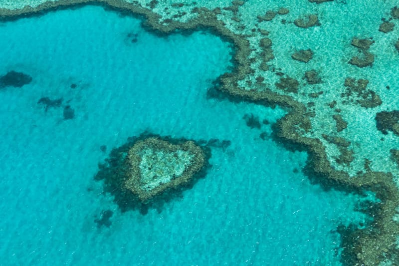 Ribbon Reefs