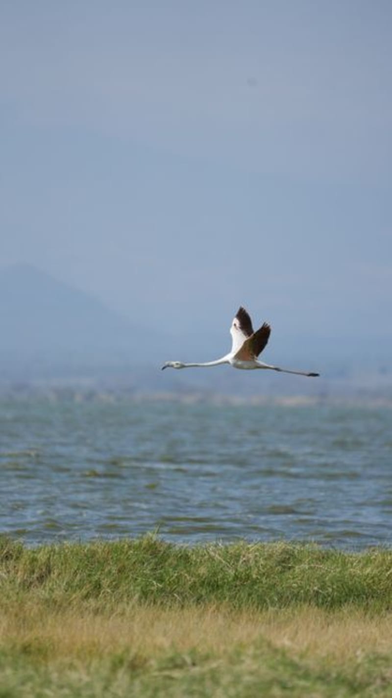 Lake Magadi