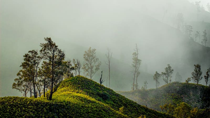 Finca La Azotea