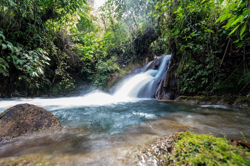 Yaxhá