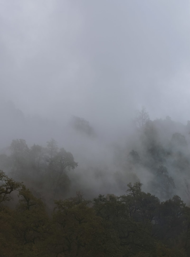 Monte Nimba
