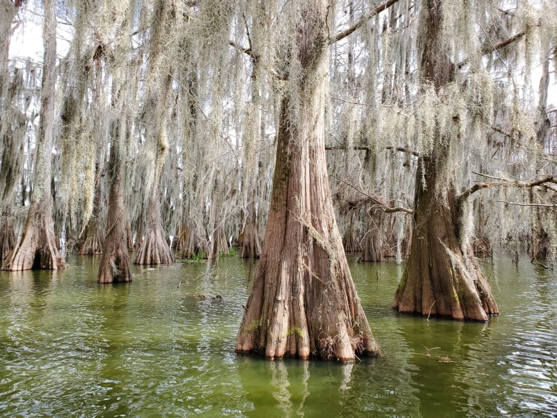 Cuenca del Atchafalaya
