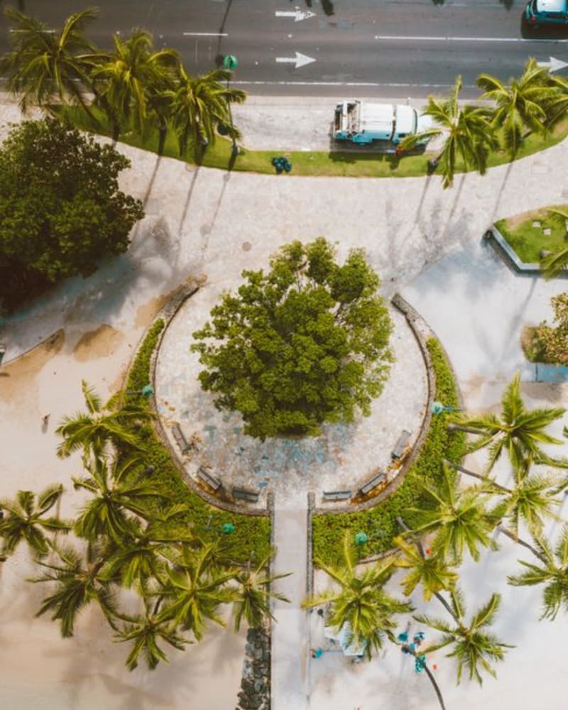 Dole Park