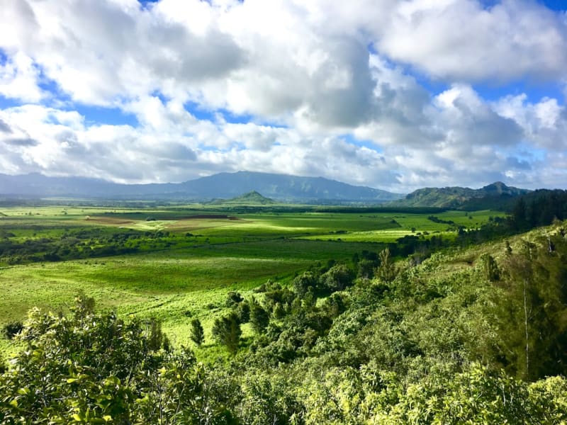 Koke'e State Park