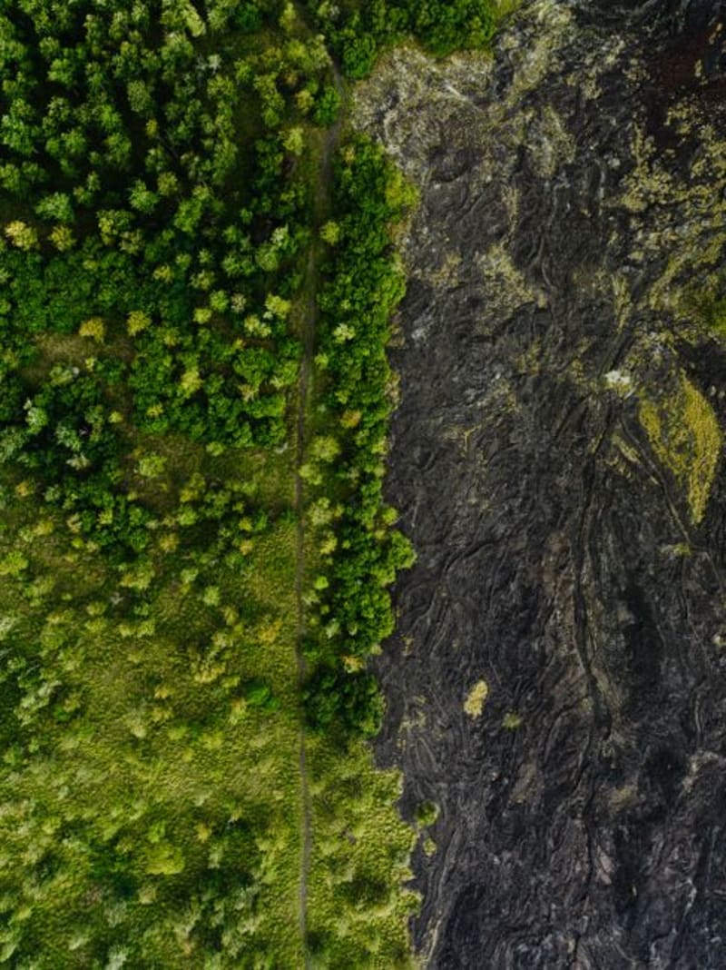 Lava Tree State Park