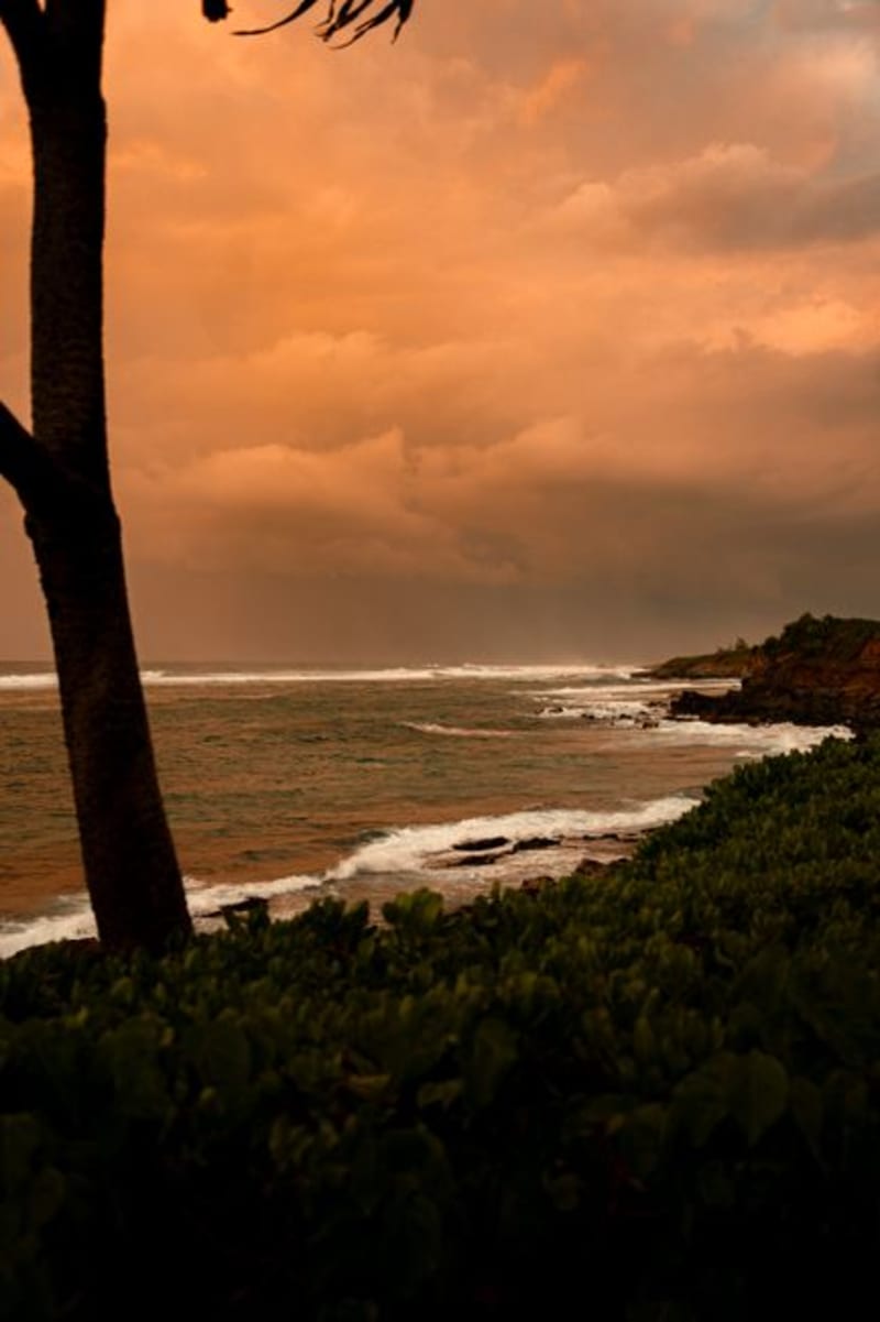Paia