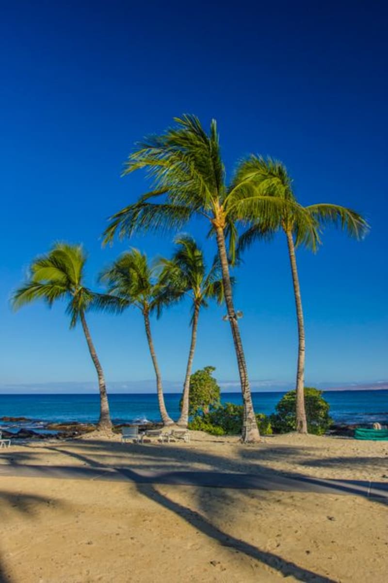 Waikoloa