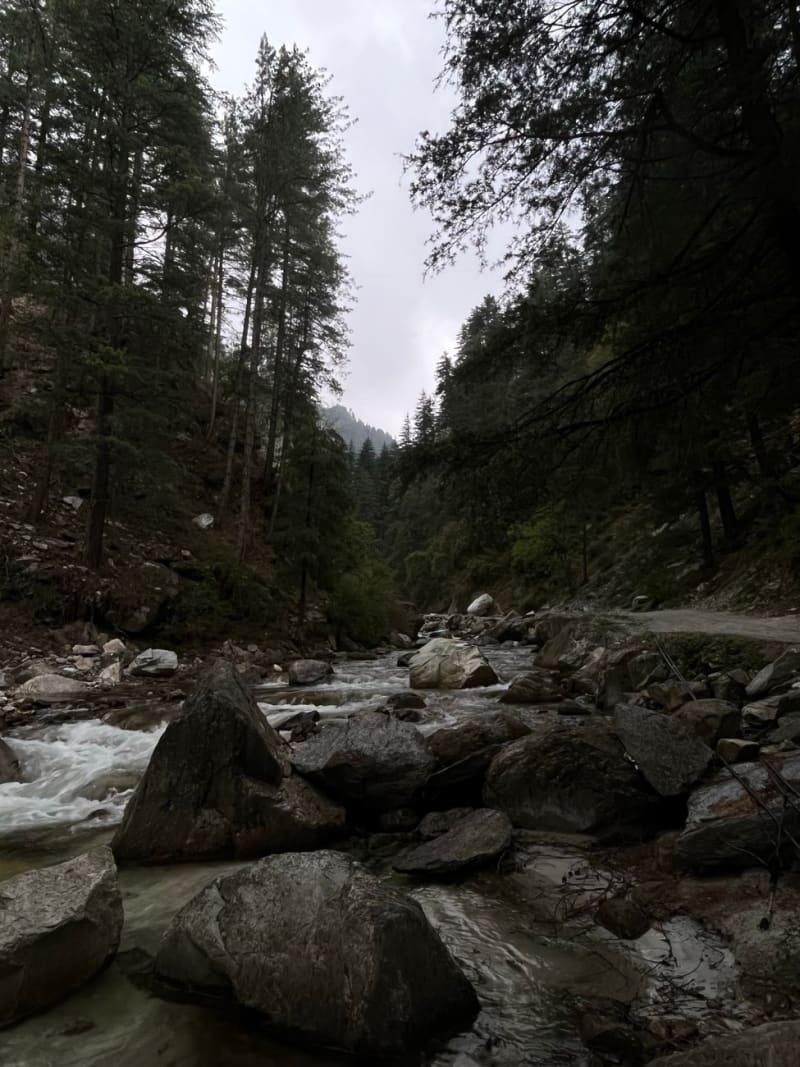 Kasol