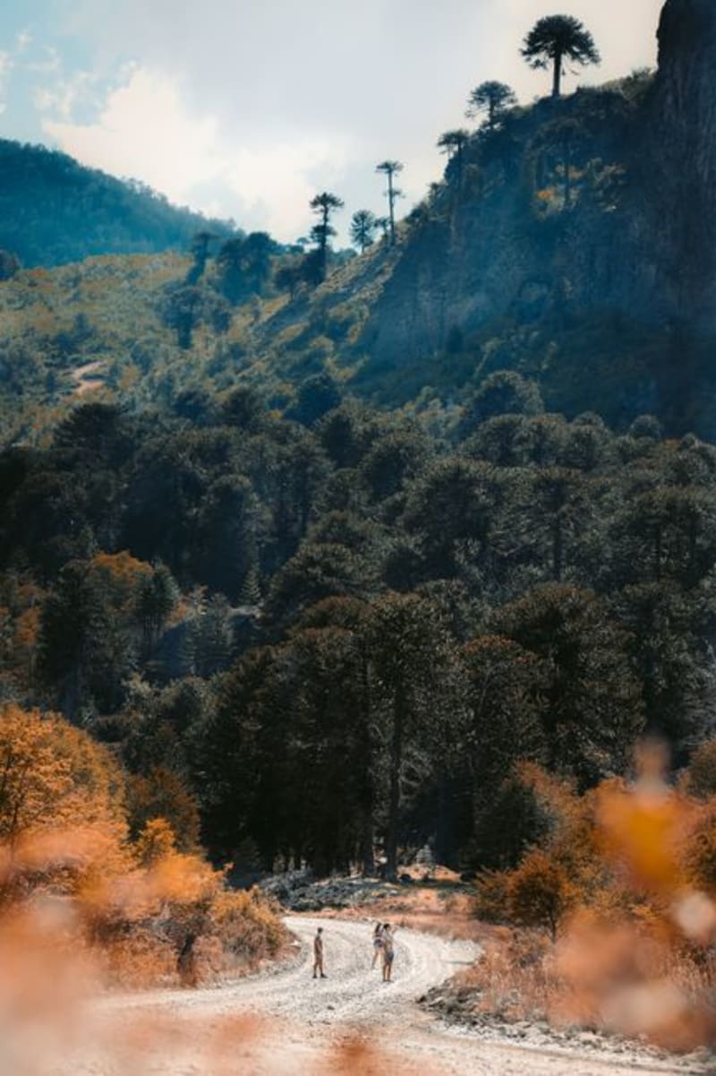 Cusuco National Park