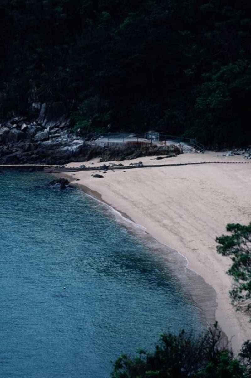 Turtle Cove