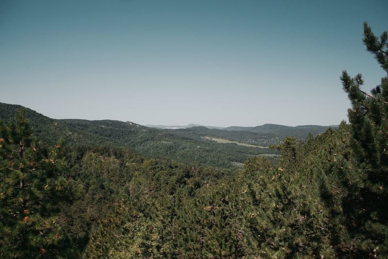 Bukk Hills
