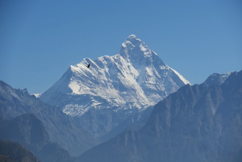Auli