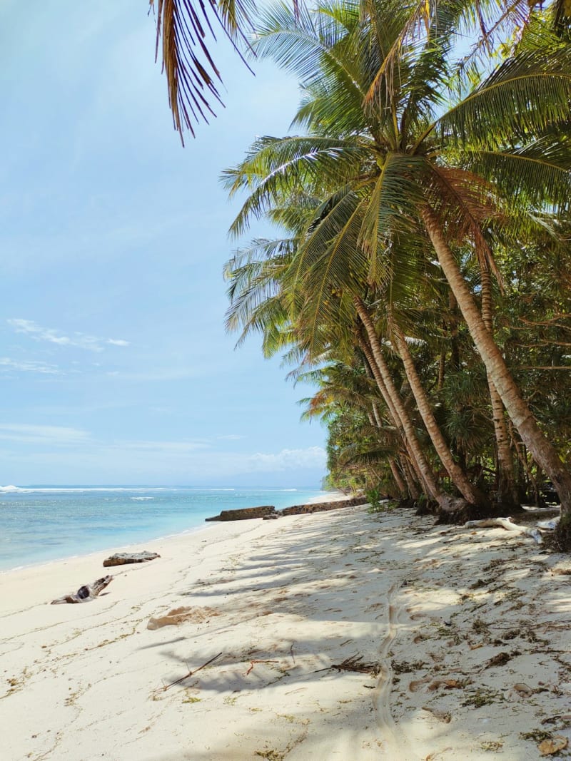 Havelock Island