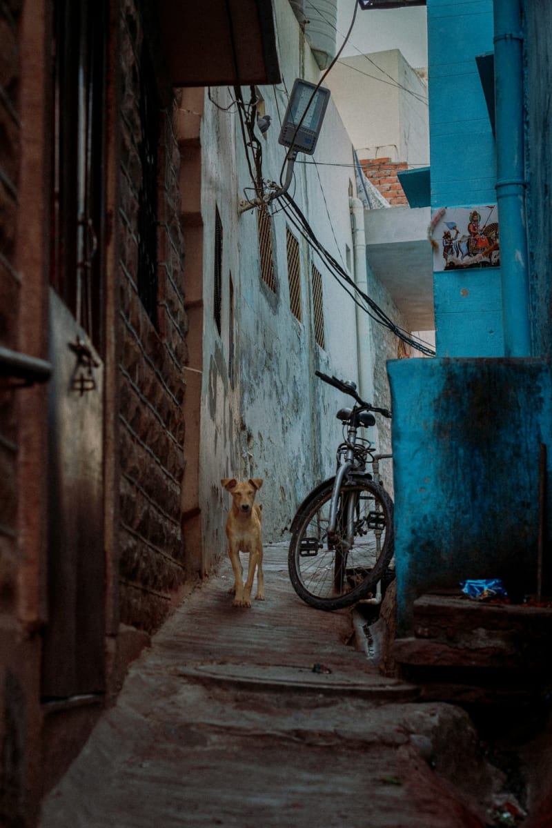 Jodhpur