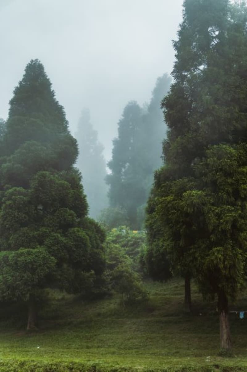 Kalimpong