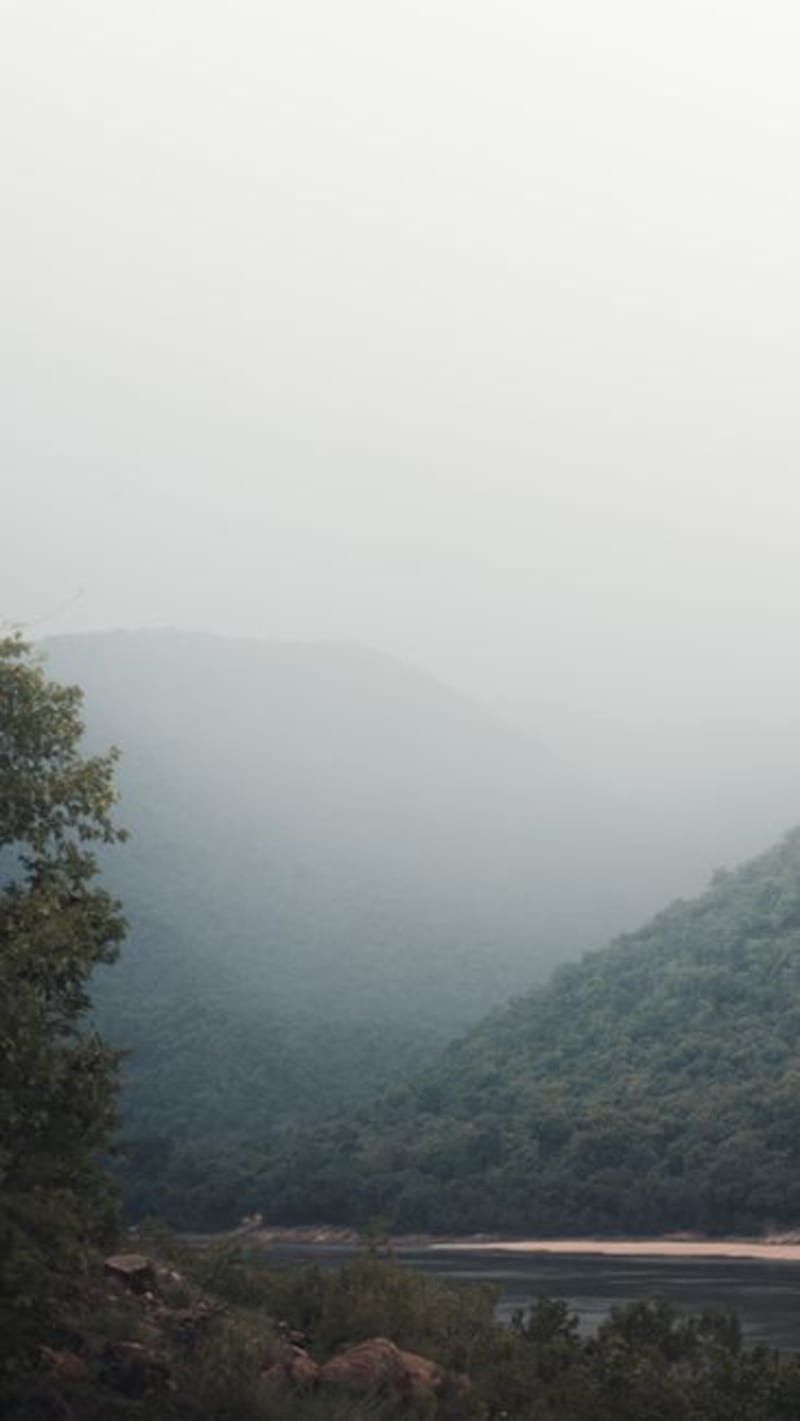 Kanha National Park