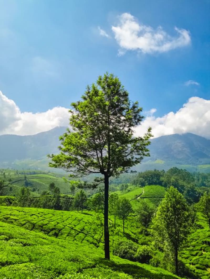Munnar
