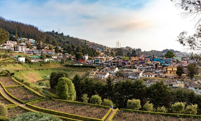 Ooty