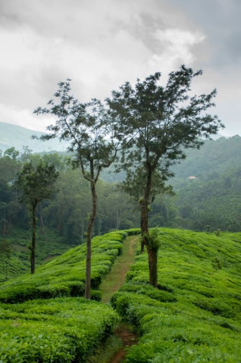 Pachmarhi