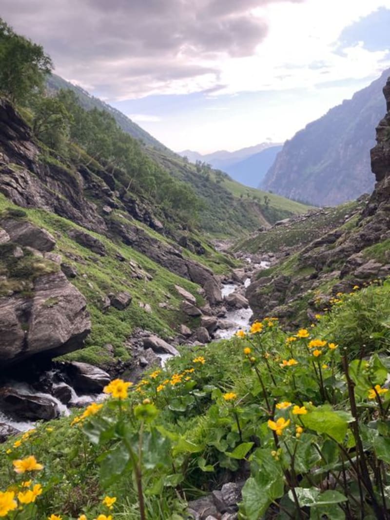 Valley of Flowers