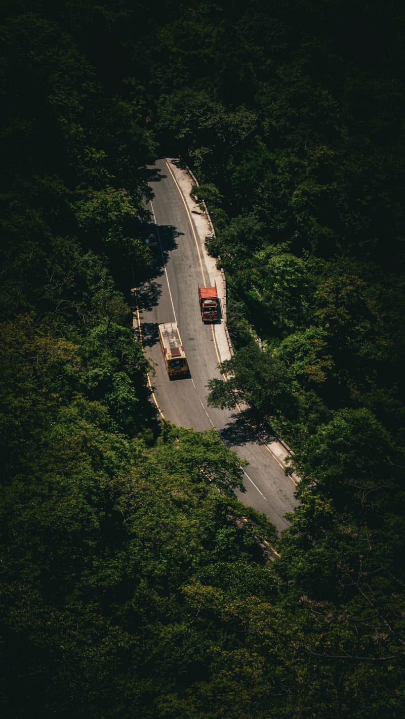 Wayanad