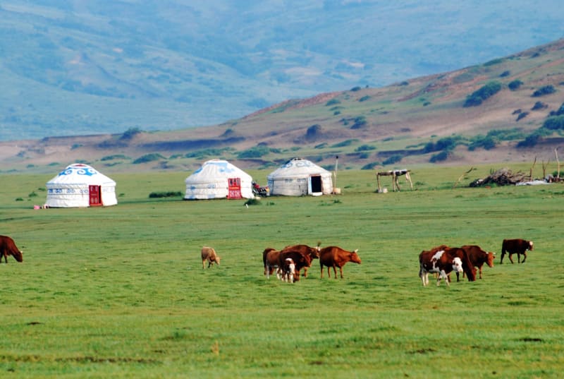 Estepa de Hulunbuir