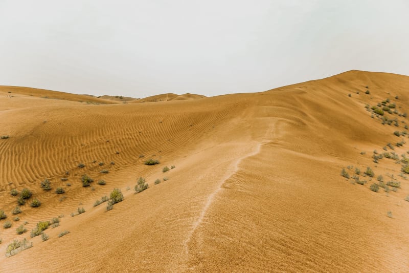 Desierto de Kubuqi