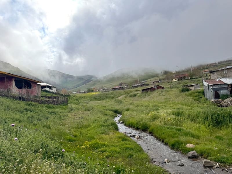 Ardabil