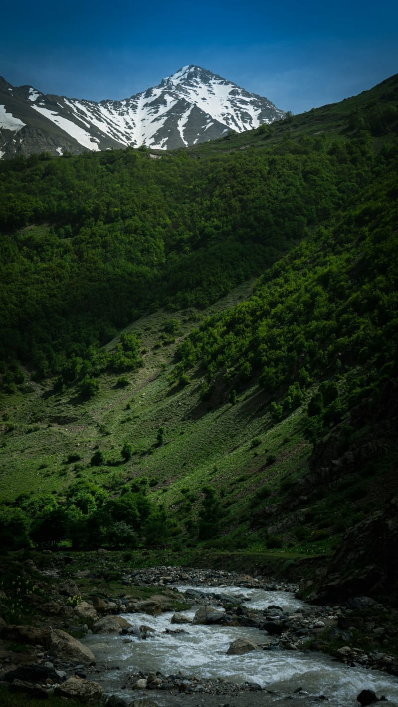 Masuleh