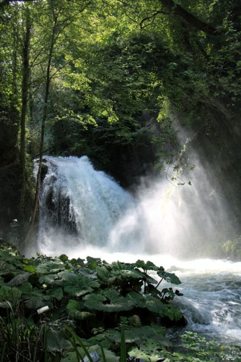 Banias