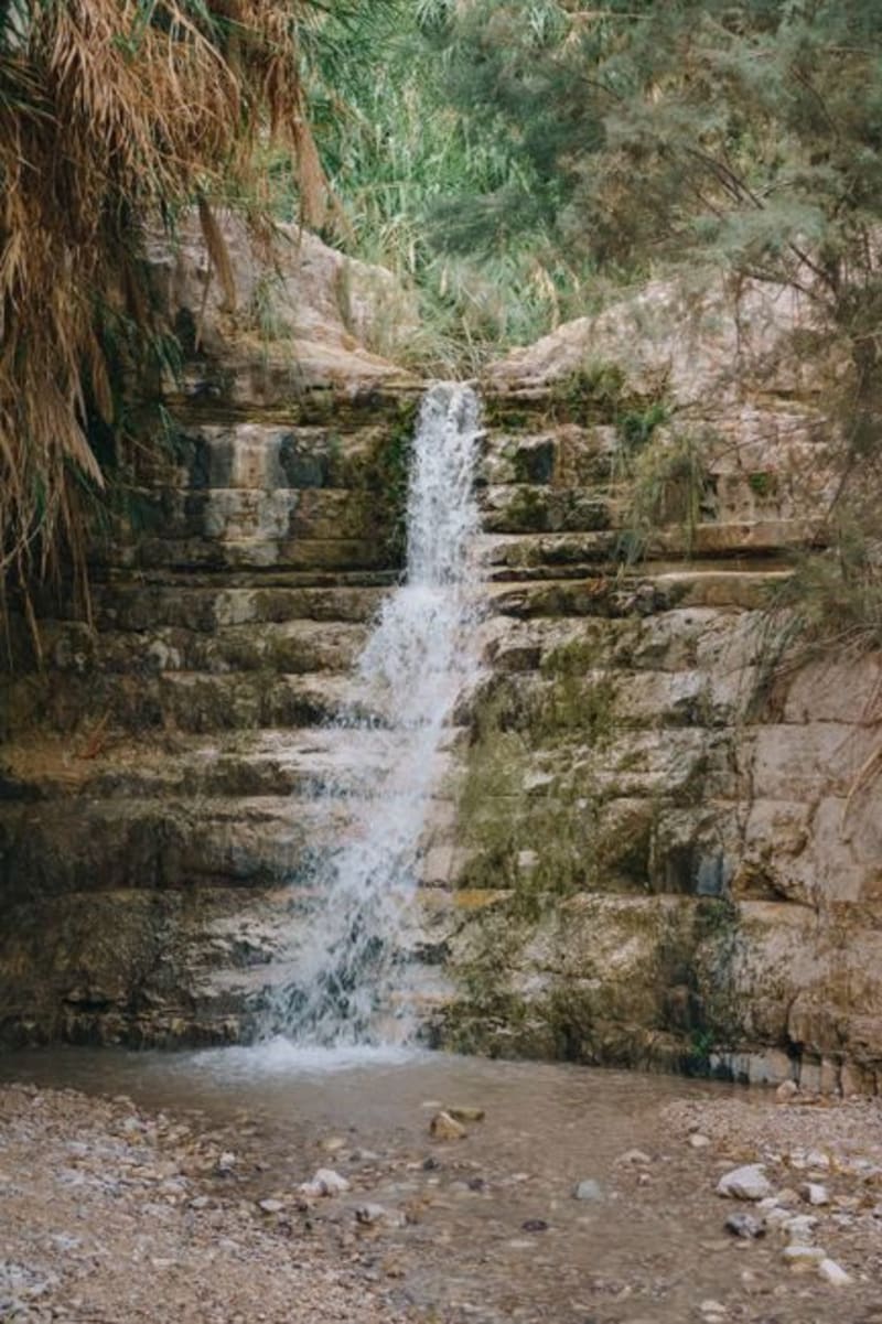 Ein Gedi