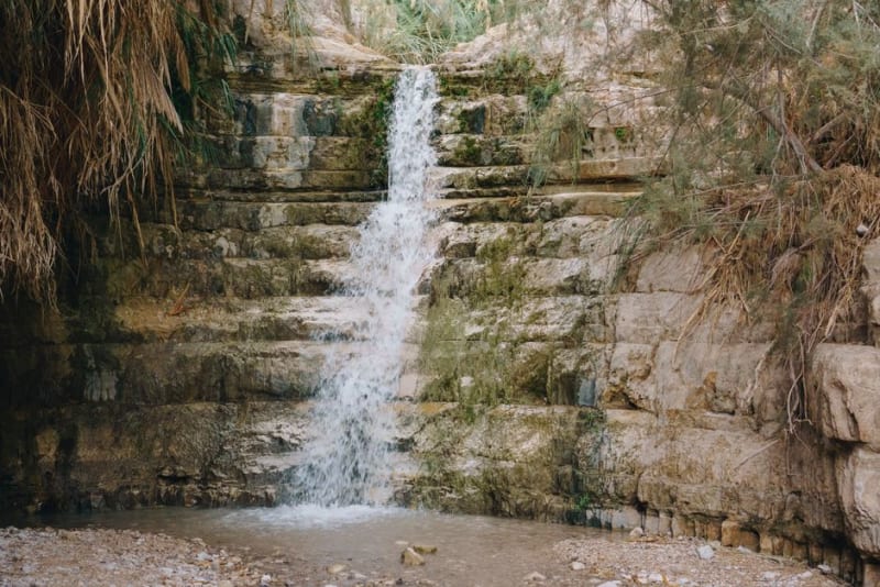 Ein Gedi