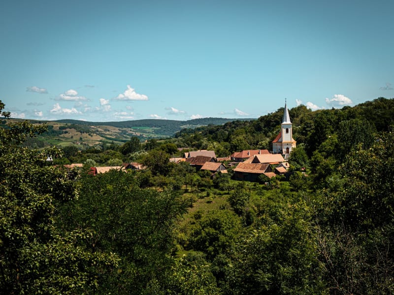 Buzet