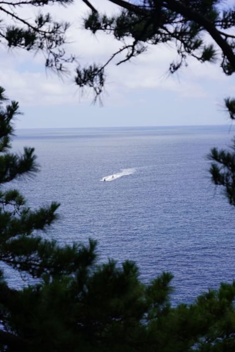 Dogashima