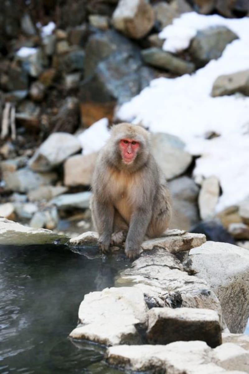 Gero Onsen
