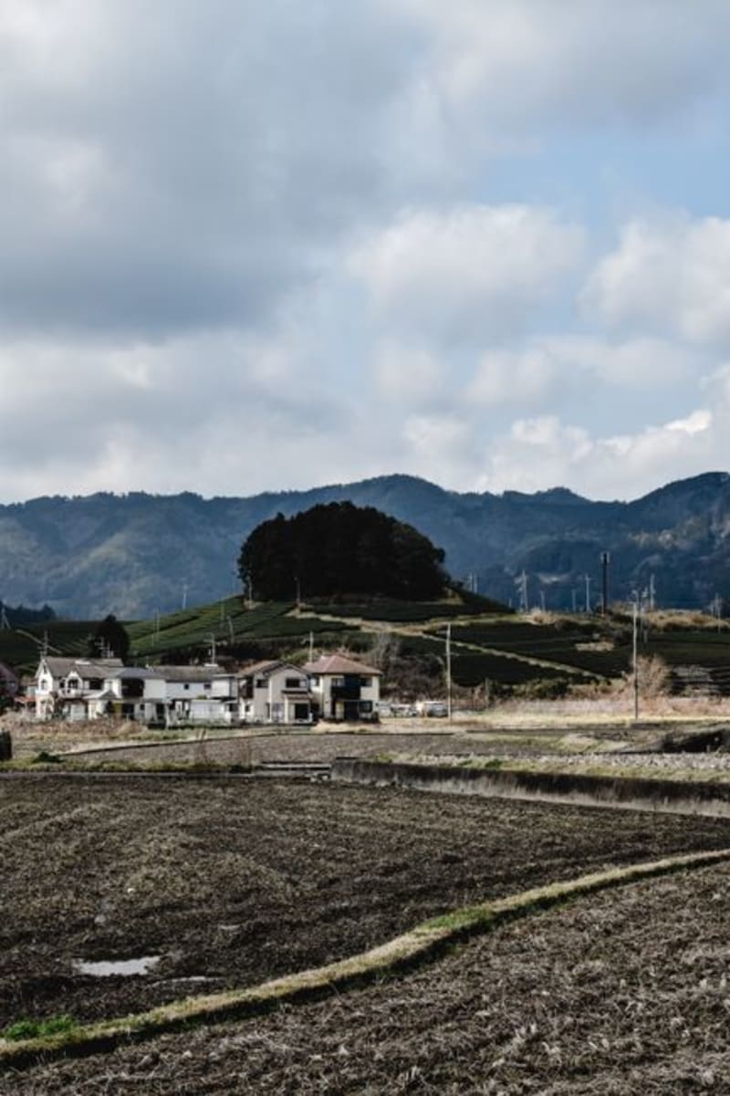 Miyama