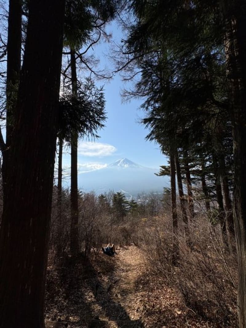 Mount Ishizuchi