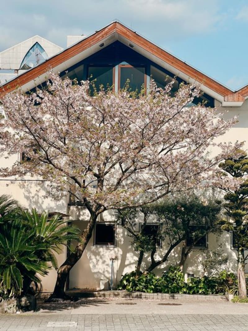 Niihama