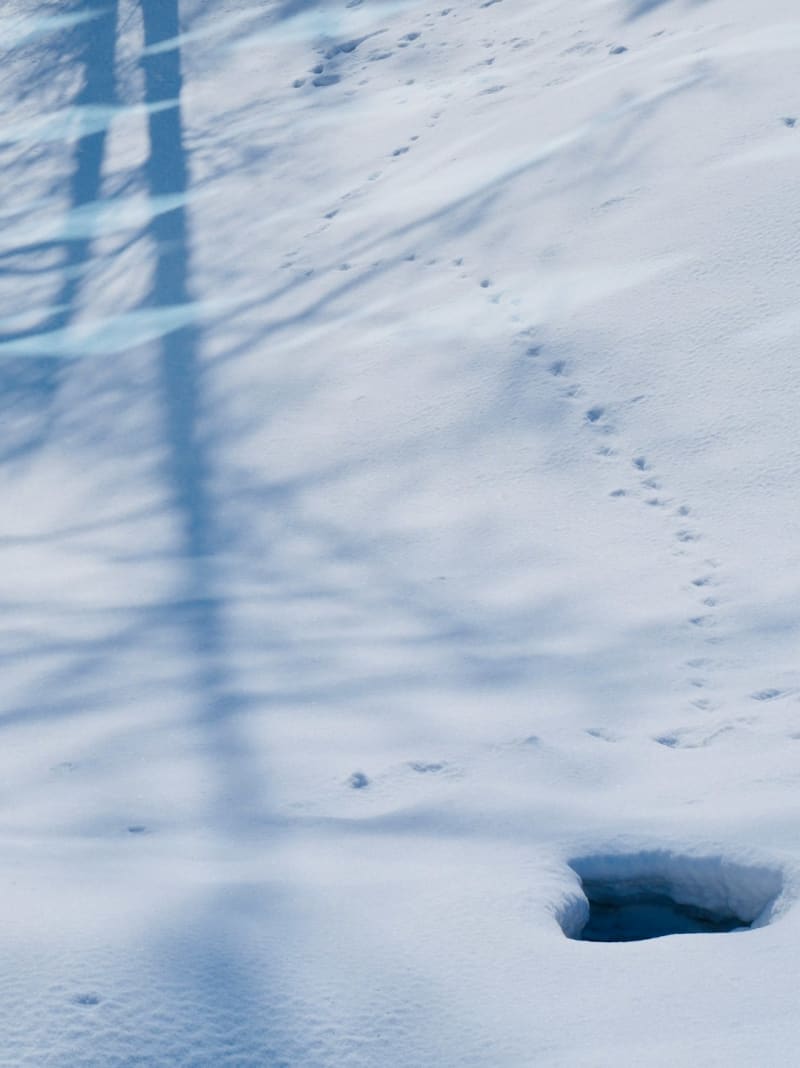 Niseko