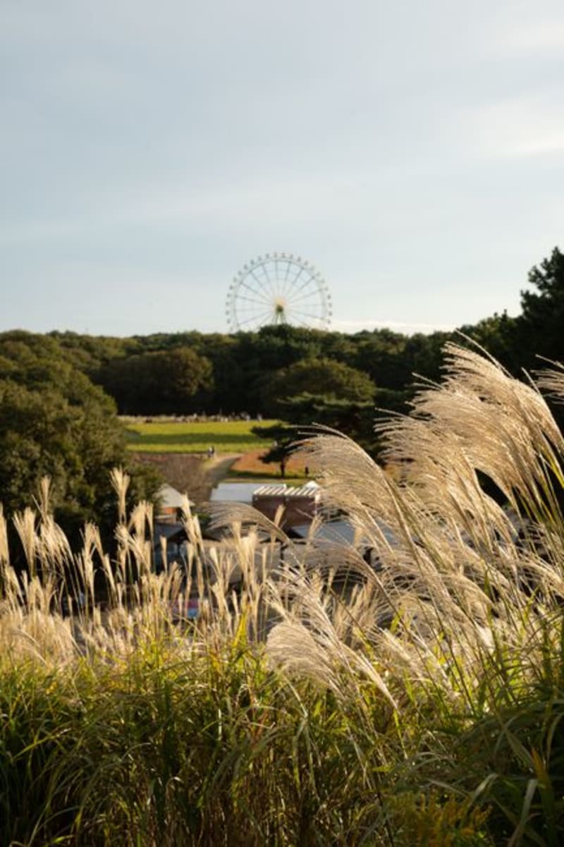 Nishiwaki (Nihon-heso Park)