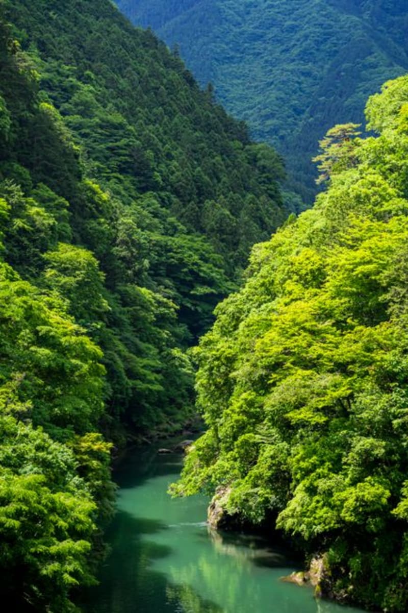 Niyodo River