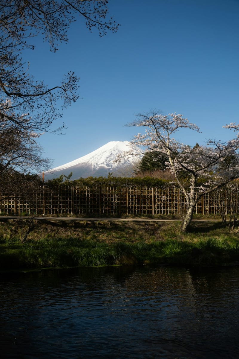 Rishiri