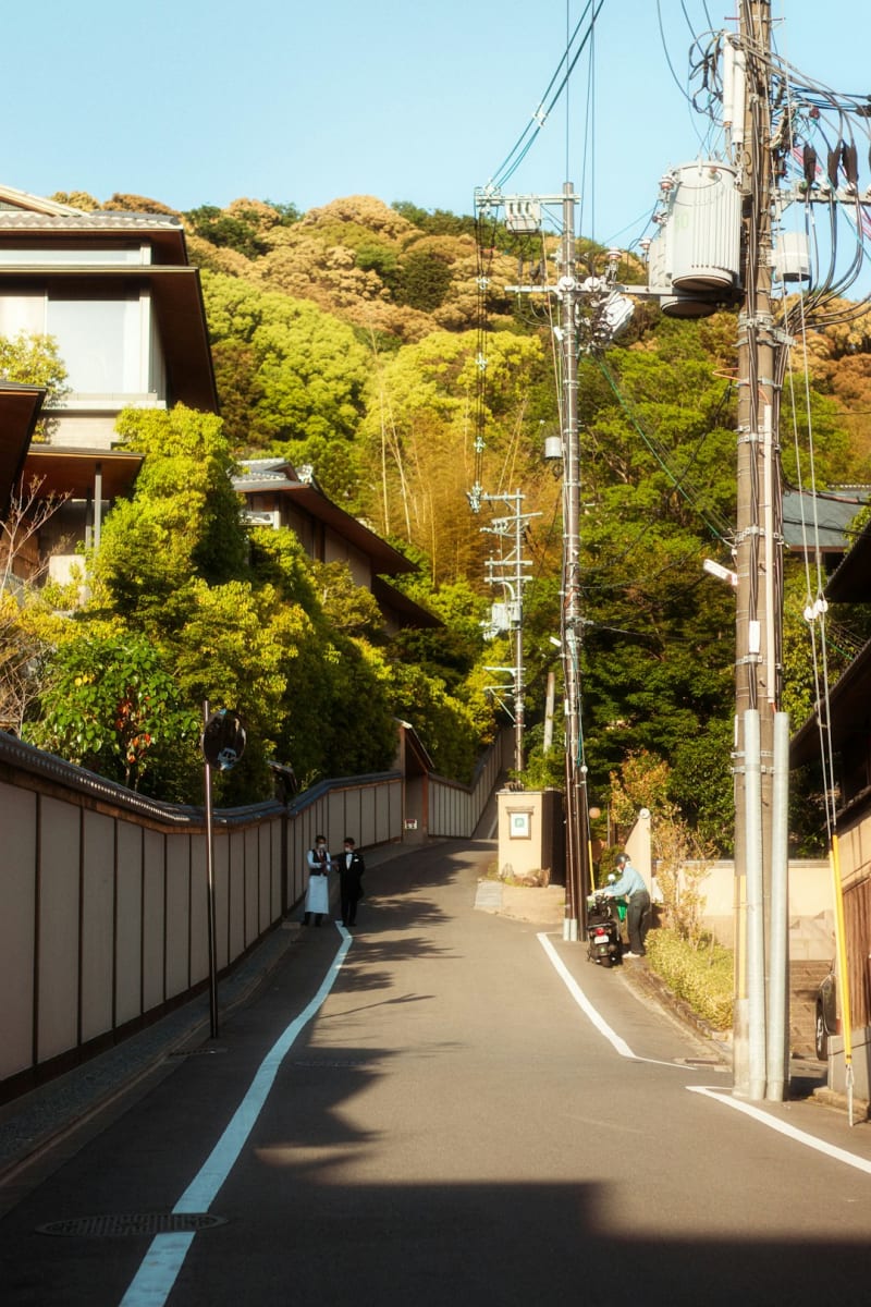 Shiraoi