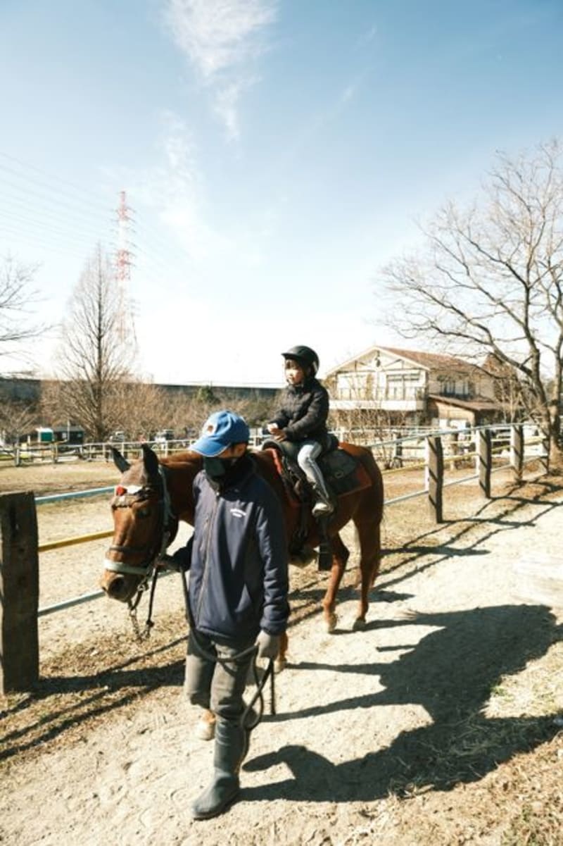 Shizunai / Hidaka Horse Country