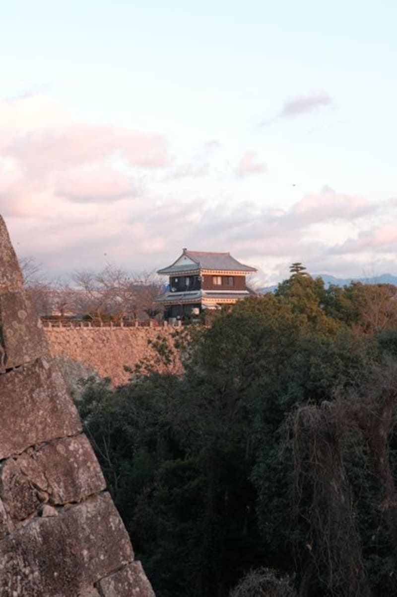 Takeda Castle