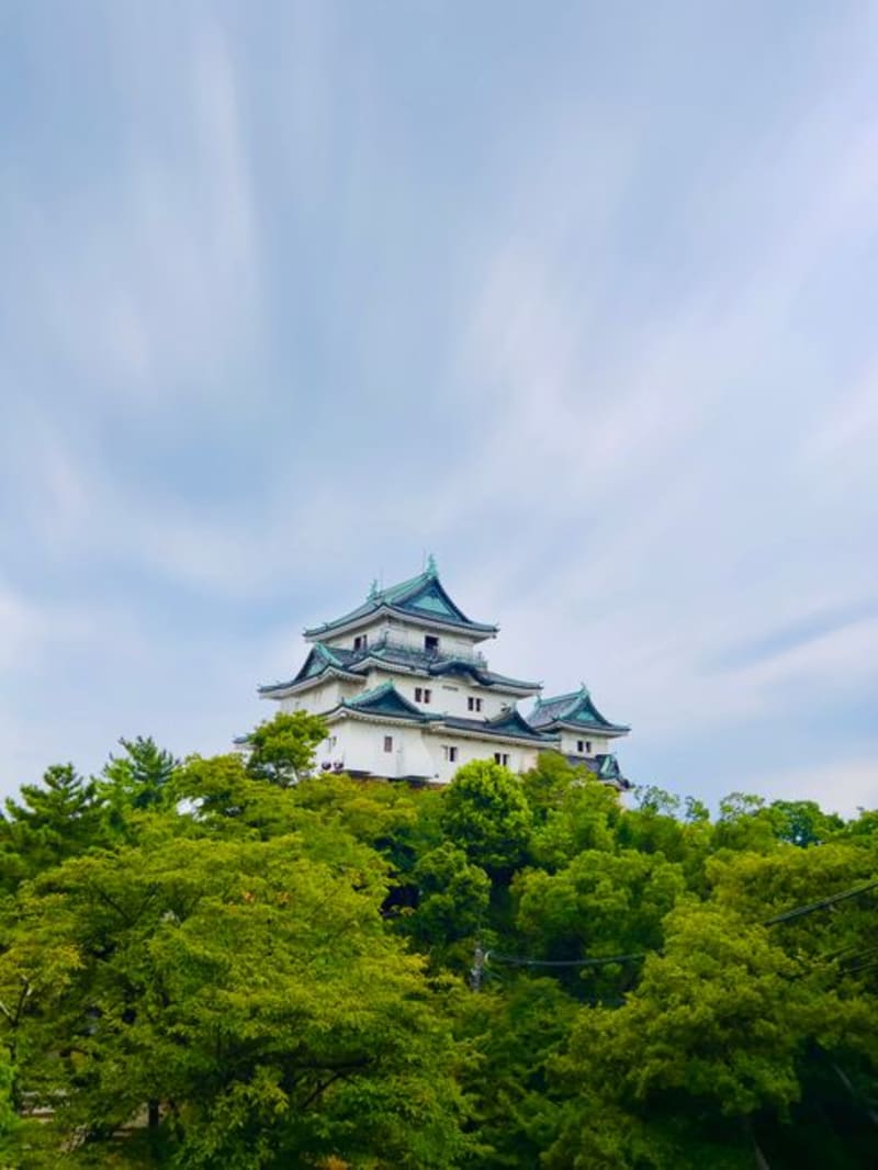 Wakayama